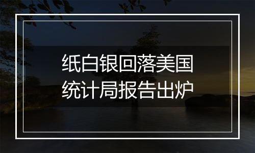 纸白银回落美国统计局报告出炉