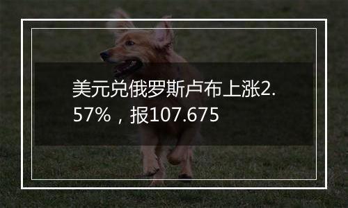 美元兑俄罗斯卢布上涨2.57%，报107.675