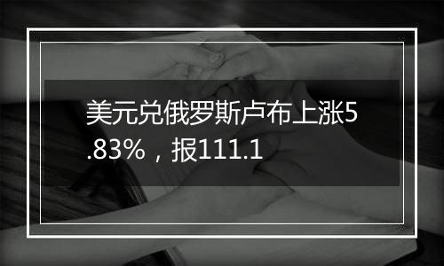 美元兑俄罗斯卢布上涨5.83%，报111.1