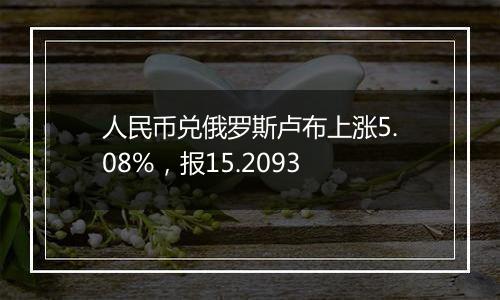 人民币兑俄罗斯卢布上涨5.08%，报15.2093