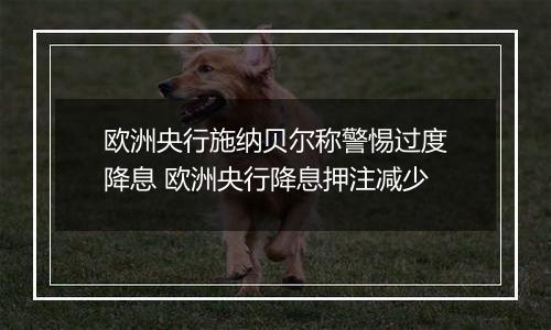 欧洲央行施纳贝尔称警惕过度降息 欧洲央行降息押注减少