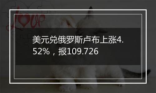 美元兑俄罗斯卢布上涨4.52%，报109.726