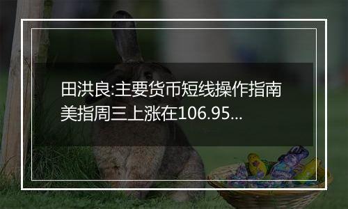 田洪良:主要货币短线操作指南 美指周三上涨在106.95之下遇阻