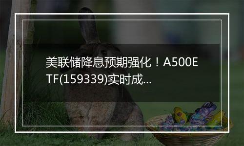 美联储降息预期强化！A500ETF(159339)实时成交额突破4亿元，过去10个交易日累计获得38亿元资金低位布局。