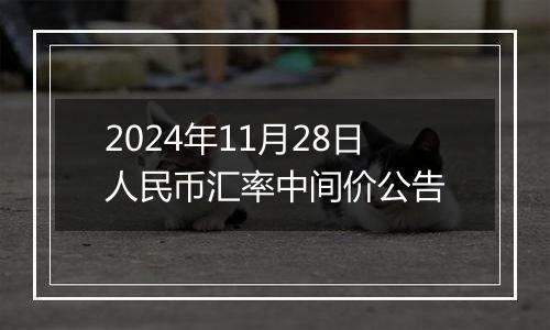 2024年11月28日人民币汇率中间价公告