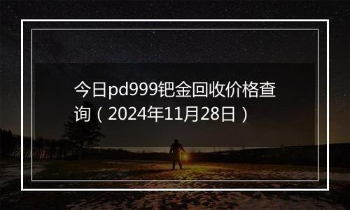 今日pd999钯金回收价格查询（2024年11月28日）