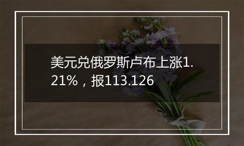 美元兑俄罗斯卢布上涨1.21%，报113.126