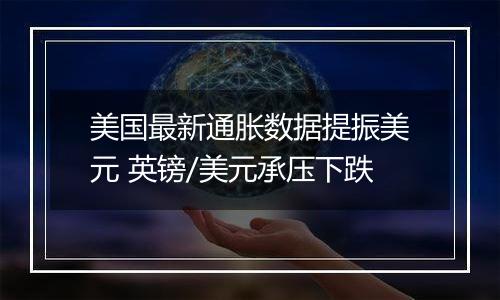 美国最新通胀数据提振美元 英镑/美元承压下跌