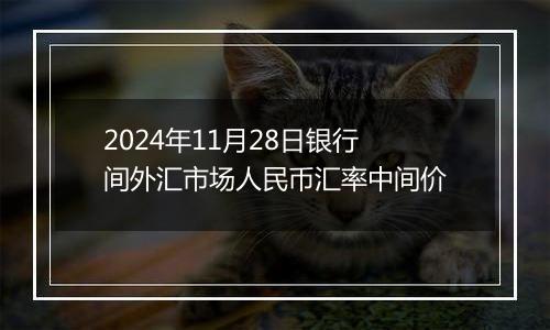 2024年11月28日银行间外汇市场人民币汇率中间价