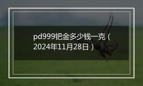 pd999钯金多少钱一克（2024年11月28日）