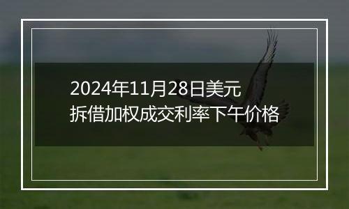 2024年11月28日美元拆借加权成交利率下午价格