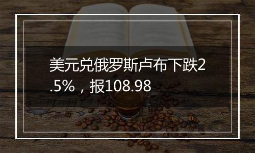 美元兑俄罗斯卢布下跌2.5%，报108.98