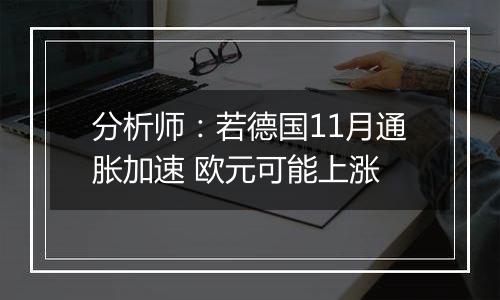 分析师：若德国11月通胀加速 欧元可能上涨