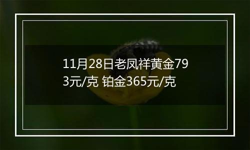 11月28日老凤祥黄金793元/克 铂金365元/克