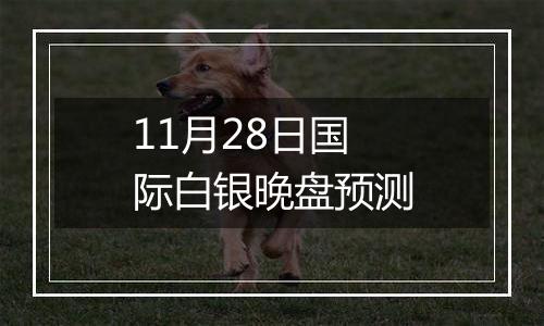 11月28日国际白银晚盘预测