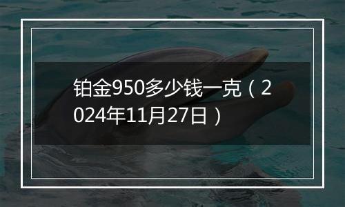 铂金950多少钱一克（2024年11月27日）