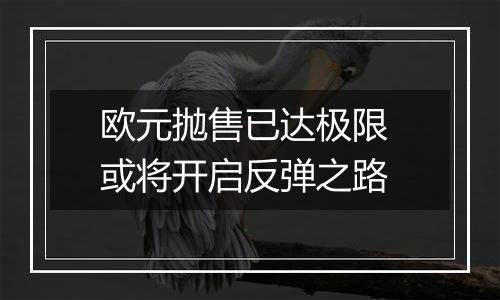 欧元抛售已达极限 或将开启反弹之路