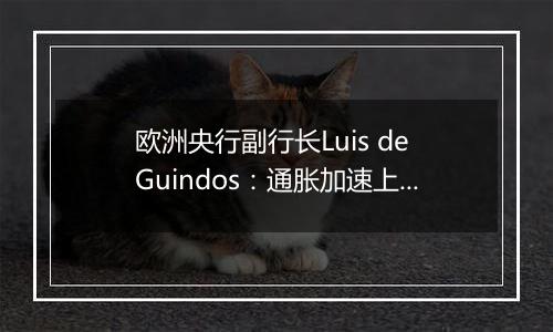 欧洲央行副行长Luis de Guindos：通胀加速上升在意料之中