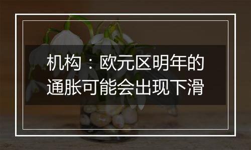 机构：欧元区明年的通胀可能会出现下滑