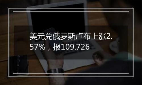 美元兑俄罗斯卢布上涨2.57%，报109.726