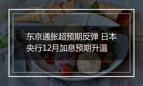 东京通胀超预期反弹 日本央行12月加息预期升温