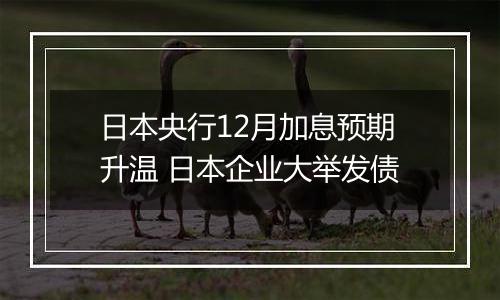 日本央行12月加息预期升温 日本企业大举发债