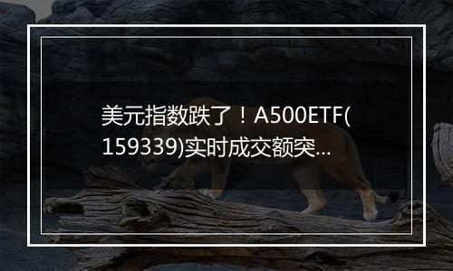 美元指数跌了！A500ETF(159339)实时成交额突破6亿元，午后溢价交易频现。