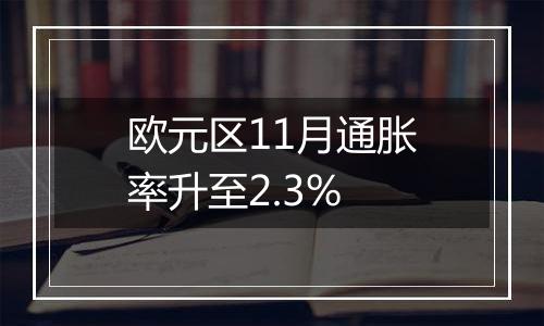 欧元区11月通胀率升至2.3%