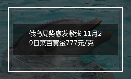 俄乌局势愈发紧张 11月29日菜百黄金777元/克