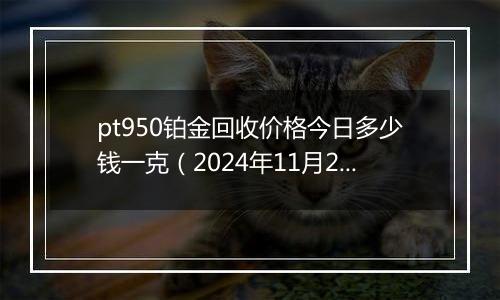 pt950铂金回收价格今日多少钱一克（2024年11月29日）