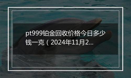 pt999铂金回收价格今日多少钱一克（2024年11月29日）