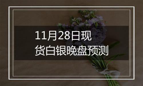 11月28日现货白银晚盘预测