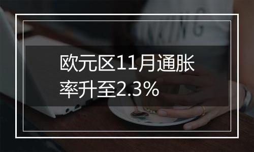 欧元区11月通胀率升至2.3%