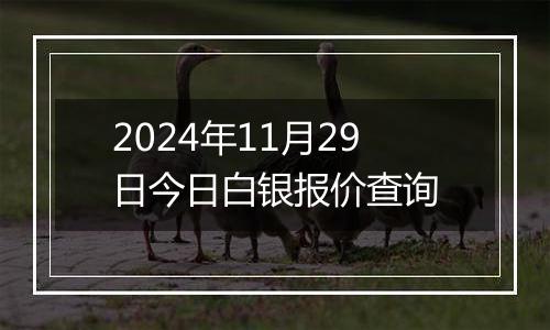 2024年11月29日今日白银报价查询