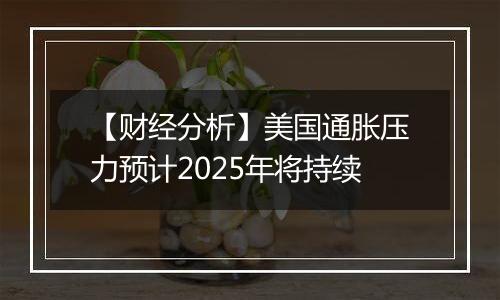 【财经分析】美国通胀压力预计2025年将持续