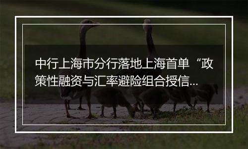 中行上海市分行落地上海首单“政策性融资与汇率避险组合授信业务”项下远期结售汇业务