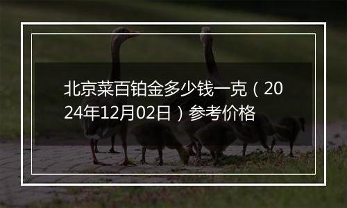 北京菜百铂金多少钱一克（2024年12月02日）参考价格