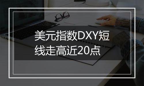 美元指数DXY短线走高近20点