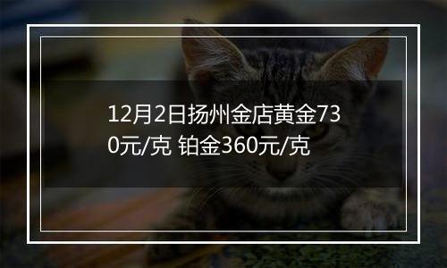 12月2日扬州金店黄金730元/克 铂金360元/克