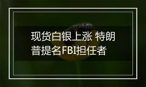 现货白银上涨 特朗普提名FBI担任者