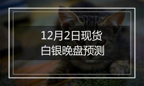 12月2日现货白银晚盘预测