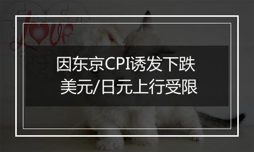 因东京CPI诱发下跌 美元/日元上行受限