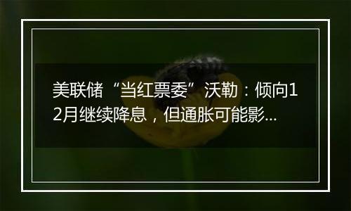 美联储“当红票委”沃勒：倾向12月继续降息，但通胀可能影响行动