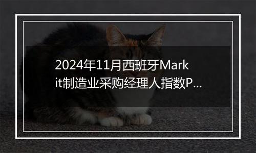 2024年11月西班牙Markit制造业采购经理人指数PMI为53.1，前月为54.5