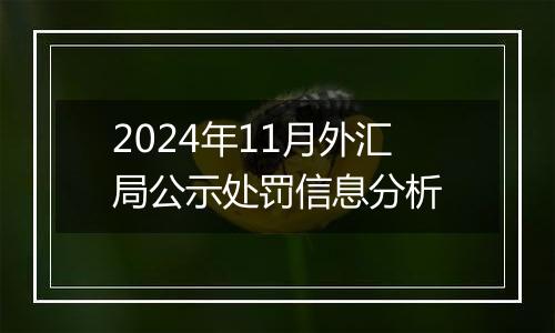 2024年11月外汇局公示处罚信息分析