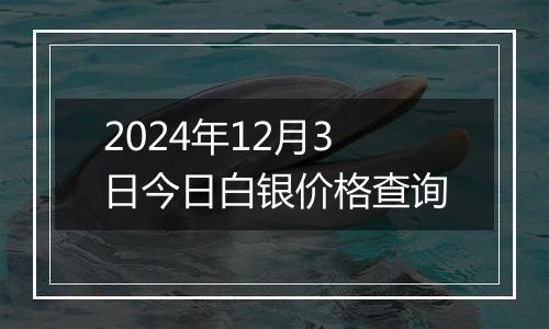 2024年12月3日今日白银价格查询