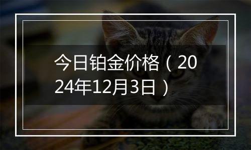 今日铂金价格（2024年12月3日）