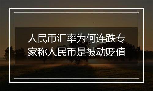 人民币汇率为何连跌专家称人民币是被动贬值