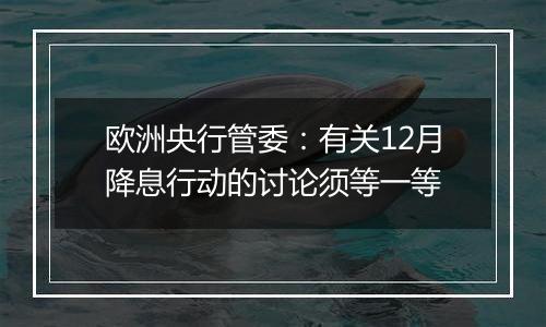 欧洲央行管委：有关12月降息行动的讨论须等一等