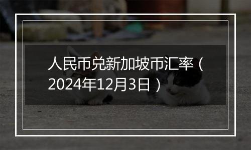 人民币兑新加坡币汇率（2024年12月3日）